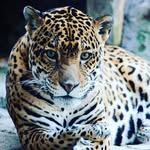 Kym Moore - @kymbella11 - Instagram