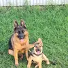 kymmoore486 - @kymmoore486 - TikTok