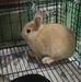 Kym Ng - Facebook