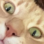 kym willis - @kymmi.lookatme - Instagram