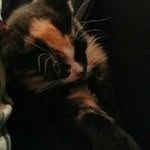 Kym Wilson - @kym.wilson64 - Instagram