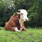 kym wilson - @kymwilson56 - Instagram