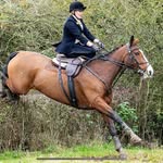 Kym Wilson - @kymwilson8 - Instagram