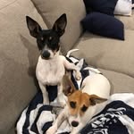 Arnold & Kyra - @arnoldandkyra - Instagram