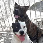 Arnold_kyra - @arnold_kyra - Instagram