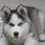 Kyra Arnold - @babbysitter09 - Instagram