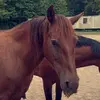 kyraayers128 - @kyraayers128 - TikTok