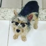 kyra Bello - @kyra_bello - Instagram