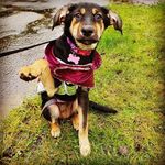 Kyra_X - @kyra_the_cross - Instagram