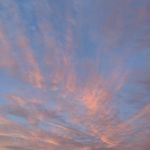 Kyra Evans - @evans_thrifts - Instagram