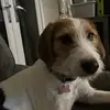Kyra Gardner - @kyra.gardner7 - TikTok