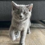 Kyra_Gilbert - @kyra_bkh_ - Instagram