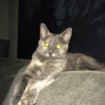 Kyra Ione Haley - @khaley67 - Instagram