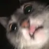 kyra - @kyraahigh - TikTok