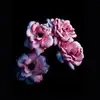 Kyra James - @vibeingwithkyraaa - TikTok