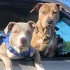 kyraandkeylowlegacy - @kyraandkeylowlega - TikTok