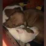 @kyra.logan_19 - Instagram