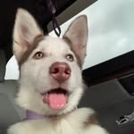 Kyra lopez🐺 - @kyra_lopez05 - Instagram