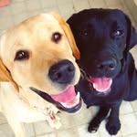 Kyra, Luna and Maya - @kyra.luna.maya - Instagram