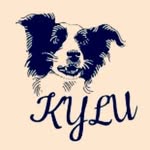 Kyra y Luna - @kylu_border_collie - Instagram