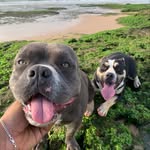 Luna & Kyra 🐾 - @_lunaekyra - Instagram