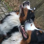 Luna_Kyra - @luna_kyra_ - Instagram