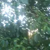 Kyra.matthews. - @karina.matthews.d - TikTok