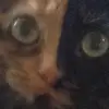 Kyra - @kyrameyerr - TikTok