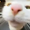kyramoreno - @rosibelmorenodiaz - TikTok