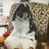 Kyra - @kyra.mueller2 - TikTok