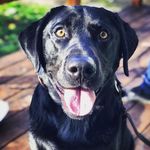 Kyra + Oliver - @oliver.vs.theworld - Instagram