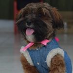 kyra Oliver - @sweet.kyra_2512 - Instagram