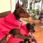 Oliver & Kyra - @oliverandkyra - Instagram