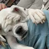 Keira Wallace - @keira.wallaceee - TikTok