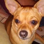 Kyra wallace - @kyramuis2007 - Instagram