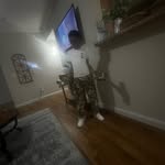 Kyree Jackson - @__luv4k.3 - Instagram