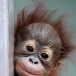 Andrew Kyrie Molde - Facebook