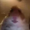 KyrieKingTheMinecraft - @kyriemansell - TikTok