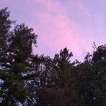 Kyrie Martin (Ali) - @kyrie.martin - Instagram