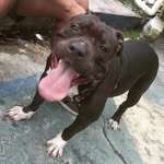 @kyron_black - Instagram