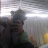 Kyrone Roseandale - @kyroneroseandale - TikTok