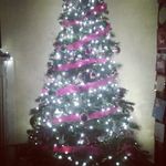 Kyron Shaw - @kyronshaw - Instagram