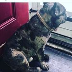 kyron shaw - @shaw_kyron - Instagram