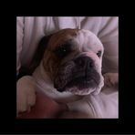 Kyron Shaw - Facebook