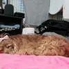 Mun Kyung. - @mun.kyung - TikTok