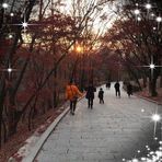 Kyungjin Lim - Facebook