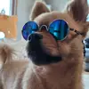 쏘오니 - @limkyungjin06 - TikTok