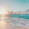 Lace - @lace.smith5 - TikTok