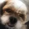lacee22johnson - @lacee22johnson - TikTok