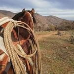 Laceros de Mallarauco - @laceros_mallarauco - Instagram